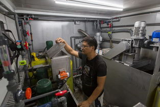 磁微滤透析式净水设备已安装于宁波市护城河边试运行